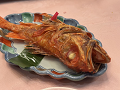 大船渡・宮古