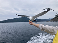 大船渡・宮古