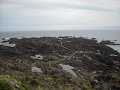 屋久島と天草３島